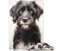 500 Pieces Jigsaw Puzzles for Adults Portuguese Water Dog Square Jigsaw Puzzles, for Adults And Teenager, Wooden Puzzles Home Art Decor 500pcs (52x38cm)