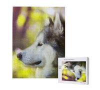 500 Pieces Jigsaw Puzzles Wooden Jigsaw Toy Family Game for Adults Teens,Alaskan Malamute Bokeh Pets Dogs Cute
