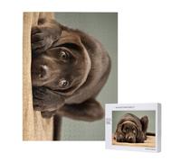500 Pieces Jigsaw Puzzles Wooden Jigsaw Toy Family Game for Adults Teens,Beautiful Adorable Chocolate Lab Puppy Sweet Pretty Cute Labrador