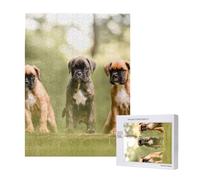 500 Pieces Jigsaw Puzzles Wooden Jigsaw Toy Family Game for Adults Teens,Boxer Dogs Puppies Pets Family Dogs