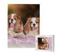 500 Pieces Jigsaw Puzzles Wooden Jigsaw Toy Family Game for Adults Teens,Cavalier King Charles Spaniel White Brown Dogs