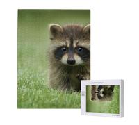 500 Pieces Jigsaw Puzzles Wooden Jigsaw Toy Family Game for Adults Teens,Cute Raccoon Fashion Printed