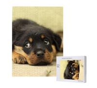 500 Pieces Jigsaw Puzzles Wooden Jigsaw Toy Family Game for Adults Teens,Rottweiler Dogs Cute Dogs Puppy Pets Small