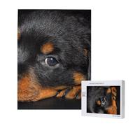 500 Pieces Jigsaw Puzzles Wooden Jigsaw Toy Family Game for Adults Teens,Rottweiler Puppy Pets Small Rottweiler Dogs
