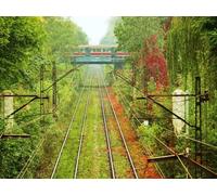 500 Pieces Jigsaws Adults Puzzles Gifts - Rails ways tram 52x38cm