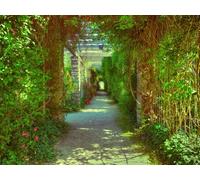 500 Pieces Jigsaws Puzzles for Adults Gifts - Passage overgrown flowers 52x38cm