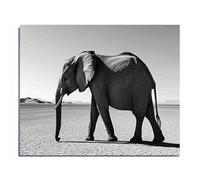 500 Pieces Puzzle for Adults Baby Elephant and Little Girl Playing in The Desert Parent-Child Family Leisure Entertainment Fun Interactive Exquisite Wooden Gift