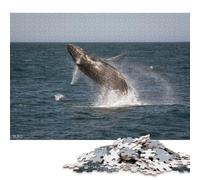 500 Pieces Puzzles for Adults Kaikoura Whale II Creative Square Jigsaw Puzzles for Adults, Wooden Puzzles Home Decoration Jigsaw Puzzles 500pcs (52x38cm)