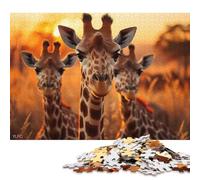 500 Pieces 'Three Giraffes Jigsaw Puzzle Puzzles for Teenagers Gifts for Adults 500pcs (52x38cm)