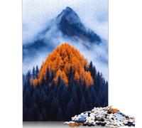 500 Pieces Tokyo Japan Puzzle for Adults Puzzles 500 Piece Puzzle for Adults And Teenager 500pcs (52x38cm)