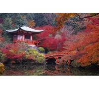 500 Pieces Wooden Jigsaw Puzzles for Adults - Wood Puzzles Set Gift with Decorative Kits Funny Puzzles Gifts, Family Game Collection, Japan, Kyoto 52x38CM
