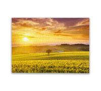 500 Pieces Wooden Puzzle for Adults Rays of Setting Sun Passing Through The Lonely Tree for Players Who Like to Challenge The Difficult and Unlock More Complex Patterns in Hd