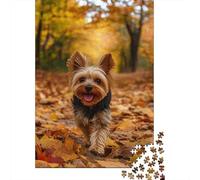 500 Pieces Yorkshire Terrier Puzzle Jigsaw Adults Puzzles Difficulty Jigsaw Educational Game Toy 500pcs (52x38cm)