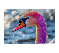 5000 Piece Jigsaw Puzzles for Adults, Animal Jigsaw Puzzles for Adults 5000 Piece, Classic Puzzle Challenging Game for the Whole Families, Suitable for Decompression Gifts Decor Theme: (Swan), -1881