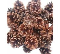 500g (25) Christmas Decoration Austriaca Florist Fir pine Cones