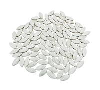500g Ceramic Petal Mosaic Tiles for DIY Crafts,33.8mm x 14.8mm Willow Leaves Mosaic Tile Pieces for Mosaic Making Kits Art Projects Home and Outdoor Decoration (White)