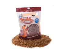 500G Dried Chubby Mealworms (Nutritional Info: Protein 53%, Fat 28%, Fibre 6%, Moisture 5%)