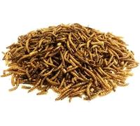500g Dried Mealworms Premium Wild Bird Food MCW