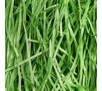 500g Green Shredded Tissue Paper for Gift Boxes, Dust-free Green Shredded Paper, Soft, Ideal Hamper Filling and Shredded Filler for Easter and Christmas