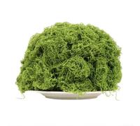 500g Lifelike Artificial Moss for Landscaping Projects Decorative Planters Wreaths 3D Models Dioramas Wedding Tables Indoor Outdoor Decoration (Light green)