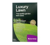 500g Luxury Lawn Seed 20 Square Metres Coverage
