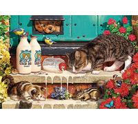 500pc Kids & Adult Jigsaw Puzzle, Cute Doorstep Kitten, Brain Teaser Puzzle | with rich colors clear image quality. It is relaxing and intellectually stimulating.family entertainment