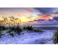 500pc Premium Jigsaw Puzzle - Every Piece is Unique - Challenging Adult Family Fun Game, Beach, Coast, South Carolina, Atlantic Ocean, Hilton Head Island 52x38CM