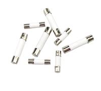 500PCS,Ceramic Fuse Tube,Fast Blow Tube Fuses,250V,0.5/1/2/3/4/5/6/8/10/15/20/25/30A,5 * 20mm 6 * 30mm,Protection Electrical Circuits(5x20,25v)