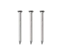 500pcs Hardware Nails, 1 Inch Nickel Plated Hanging Nails, Wall Nails for Picture Hanging, Wood Nails, Wire Nails, Small Nails (1 In)