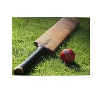 500Pcs,Jigsaw Puzzles for Adults Challenging Puzzles, Puzzle Game for The Whole,Cricket Bat And Ball