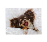 500Pcs,Jigsaw Puzzles for Adults Challenging Puzzles, Puzzle Game for The Whole,Cute Chihuahua Dog Animal