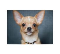 500Pcs,Jigsaw Puzzles for Adults Challenging Puzzles, Puzzle Game for The Whole,Cute Funny Chihuahua Dog