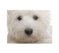 500Pcs,Jigsaw Puzzles for Adults Challenging Puzzles, Puzzle Game for The Whole,Cute Westie Puppy