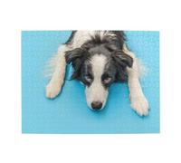 500Pcs,Jigsaw Puzzles for Adults Challenging Puzzles, Puzzle Game for The Whole,Funny Puppy Dog Border Collie Blue Background