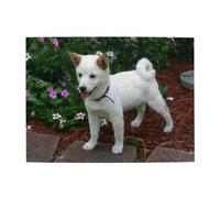 500Pcs,Jigsaw Puzzles for Adults Challenging Puzzles, Puzzle Game for The Whole,Shiba Inu Puppy