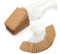 500PCS Price Tags, Kraft Paper Price Labels with String Hang with String Small Gift Price Tags Display Tag Labels for Display Jewelry Clothing (Brown)