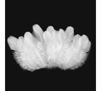 500pcs-White Rooster Feathers 3-5inch Bulk Feathers for Crafts DIY Dream Catcher Supplies（500pcs）