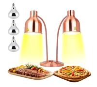 500W Double Head Food Warmer with Adjustable Gooseneck