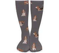 501 Basset Hound Dog Men Women Funky Socks Thick Warmer Socks Anti Blister Athletic Socks Workout Socks For Running Sport Climbing