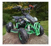 50cc Petrol Kids Mini Quad Bike Green Quad ATV Off Road 2 Stroke