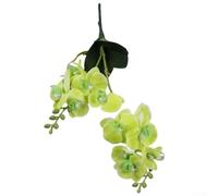 50CM Artificial Butterfly Orchid Bouquet With 12 Large And Small Moth Orchid Heads For Wedding Ceremony, Party And Indoor Or Outdoor Home Decoration In Multiple Vibrant Colours(Green)