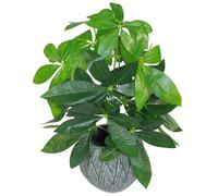 50cm Artificial Money Tree Plant Leaf Green One Size