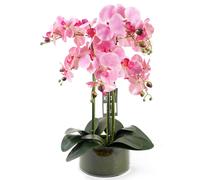 Artificial Orchid with Glass Planter Pink Botanik Leaf Green One Size