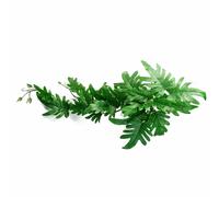 50cm Artificial Trailing Philodendron Large Leaf Plant Realistic