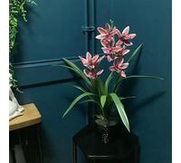 Dark Pink Artificial Orchid in Ceramic Planter - Pink
