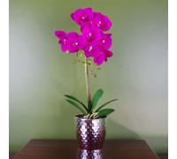 Orchid Artificial Dark Pink Silver 50cm Phalaenopsis Botanik Leaf Dark Pink One Size