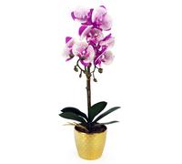 50cm Phalaenopsis Orchid Artificial - Purple / White - Gold Pot Leaf Pink One Size