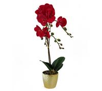 50cm Phalaenopsis Orchid Artificial - Red Leopard - Gold Pot Leaf Red One Size