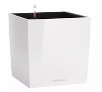 50Cm Planter, Cream White High-Gloss Plastic Large Self-Watering Planter With Substrate And Water Level Indicator Lechuza Cube
