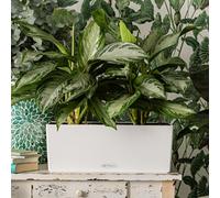 50Cm White Window Box, Plastic Lechuza Balconera Color Self-Watering Planter With Drain Plug H19 L50 W19 Cm